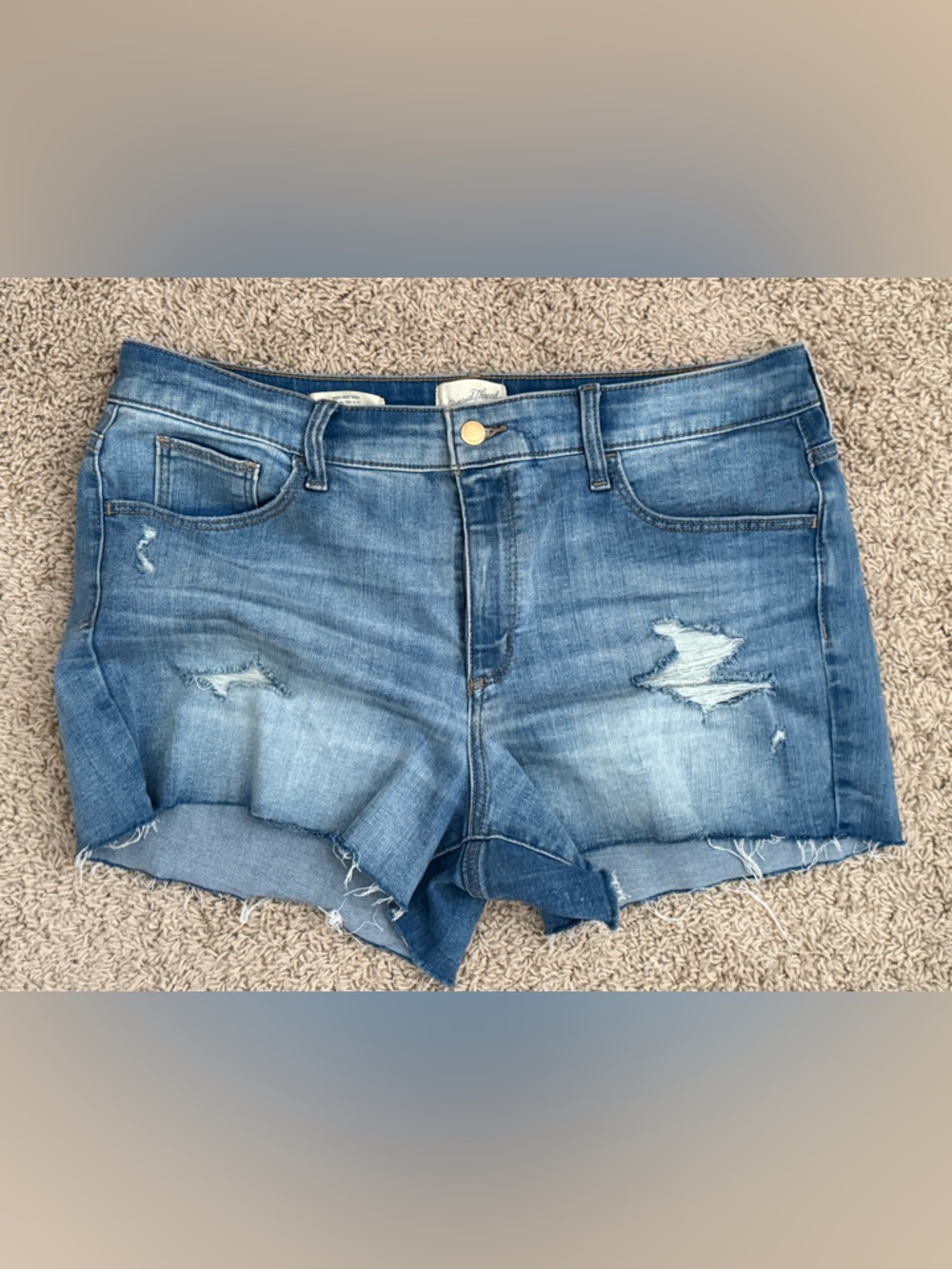 Universal Thread Distressed Blue Denim Shorts